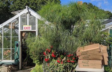 Logee’s Plants for Home & Garden