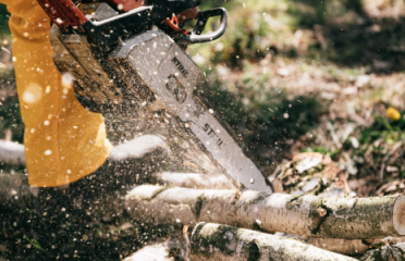 Robert’s Tree Service