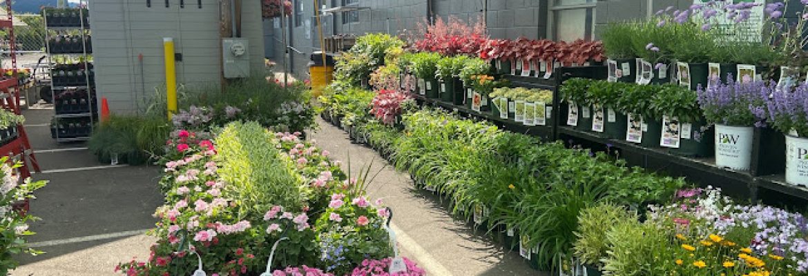 Shannon Landscape & Garden Center
