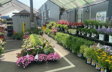 Shannon Landscape & Garden Center
