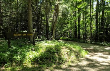 Natchaug State Forest
