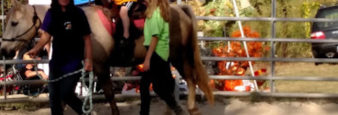 JC’s Pony Parties