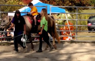 JC’s Pony Parties