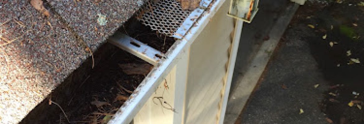 Gutter Vac Attack