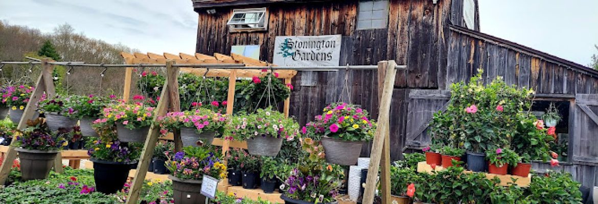 Stonington Gardens
