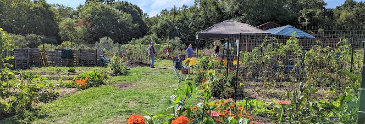 Lyme Old Lyme Food Share Garden