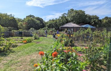 Lyme Old Lyme Food Share Garden