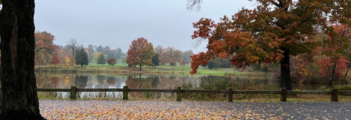 Goodwin Park