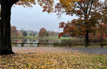 Goodwin Park