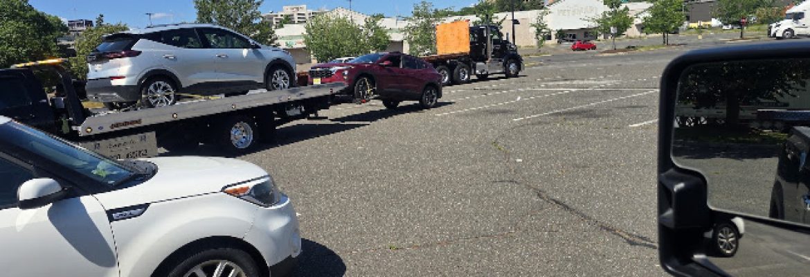 Tow Bros