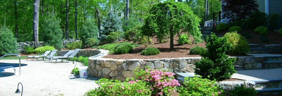 Seven Maples Landscaping & Nursery