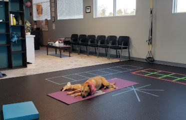 Back to Motion Sports Rehab and Joint Center