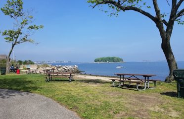 Shady Beach Park