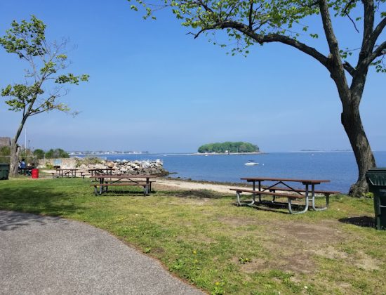 Shady Beach Park