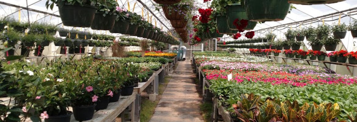 Pequot Plant Farm