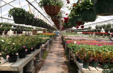 Pequot Plant Farm