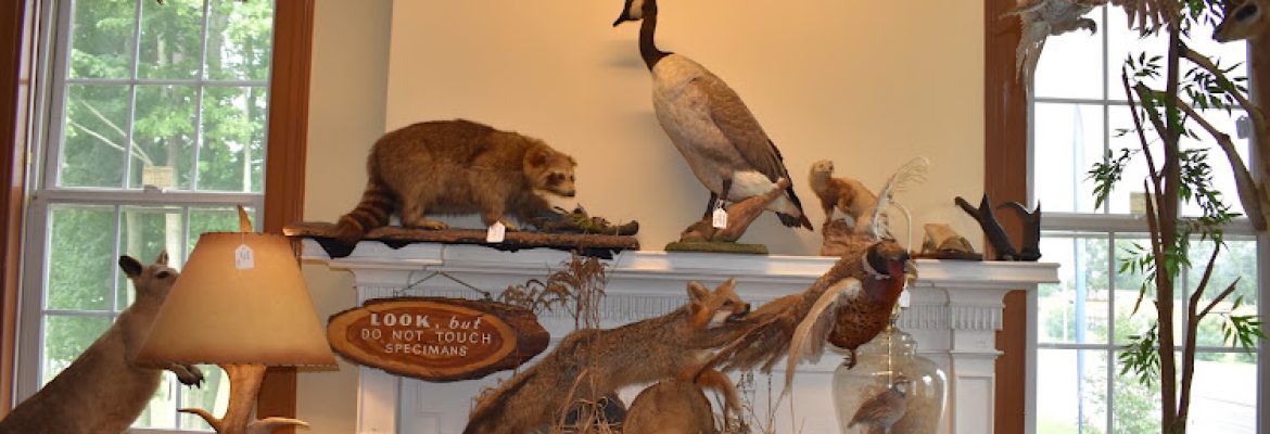 Just In Antiques at The Brickhouse
