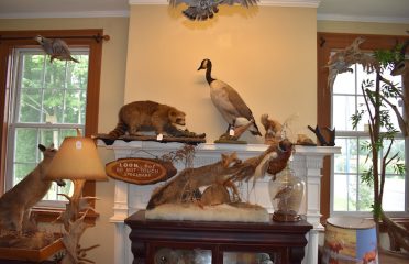 Just In Antiques at The Brickhouse