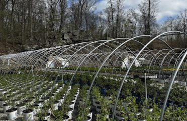TLC Wholesale Nursery