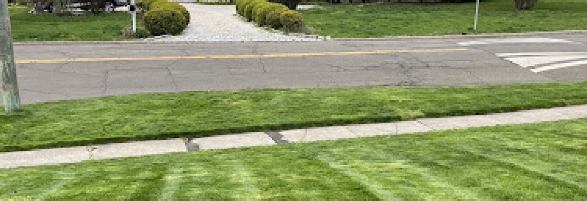 Family landscape service