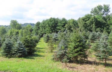 Happy Tree Acres