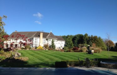 Brian Capone Land Services LLC