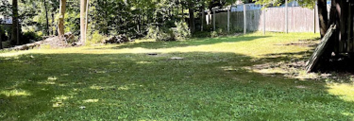 Castillo Tree & Lawn Service LLC