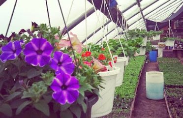 Tash Family Greenhouses