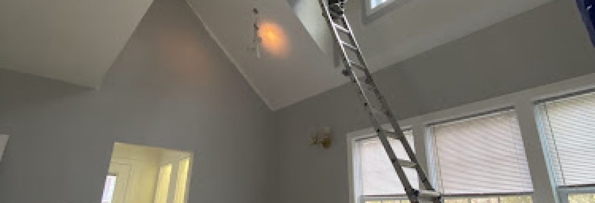 H&E Pro Painting