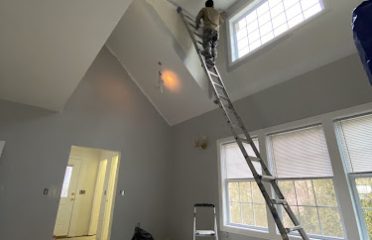 H&E Pro Painting