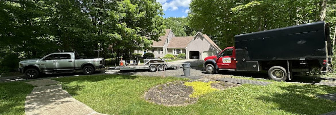 Blue Collar Tree Service