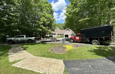 Blue Collar Tree Service