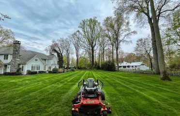 Stamford Landscaping