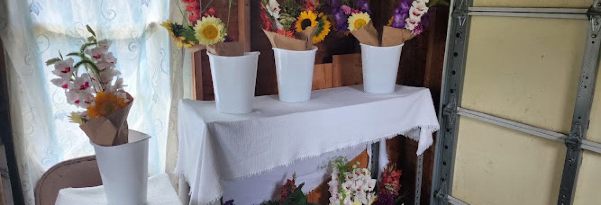 Flower Hour Farm