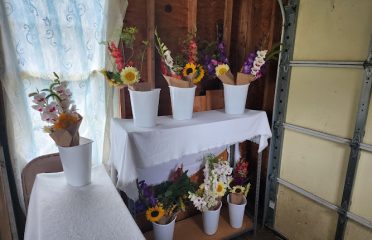 Flower Hour Farm