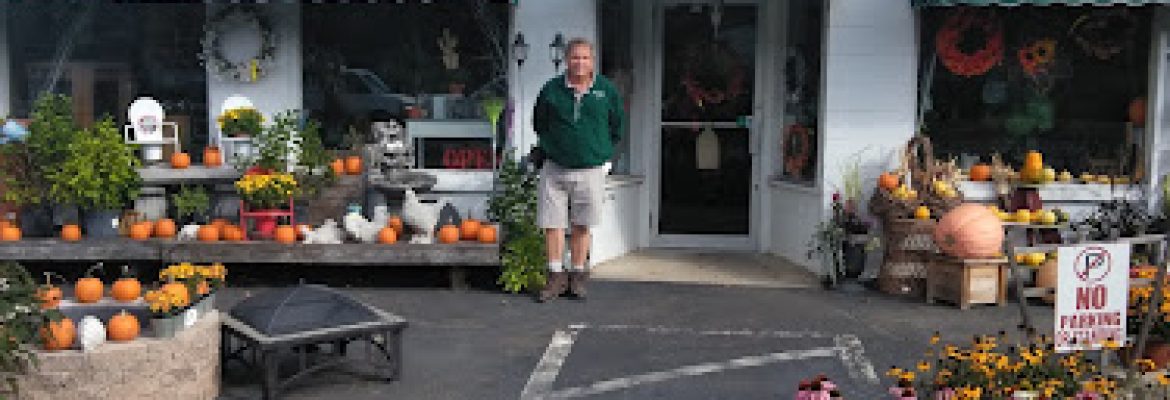 Village Greene Gardens LLC
