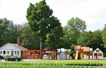 Best In Backyards