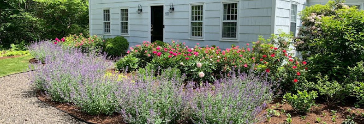 Paradise Lawn & Landscape LLC