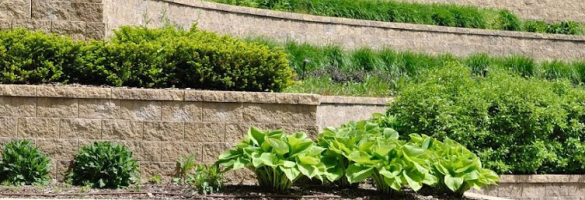 A & J Landscaping LLC