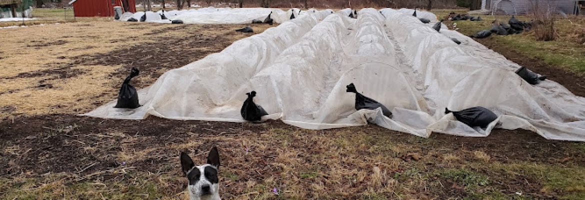 A New Hope Farm