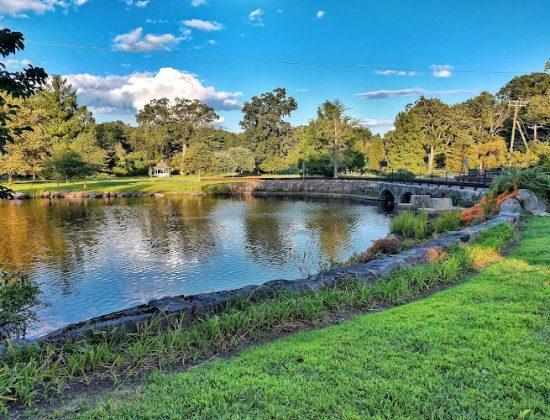 Bruce Park