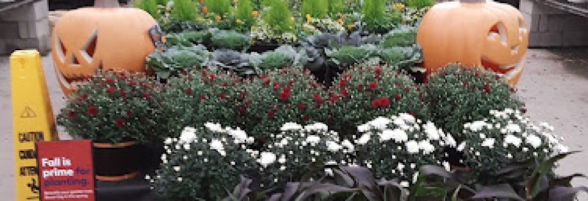 Lowe’s Garden Center