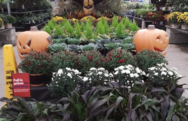 Lowe’s Garden Center