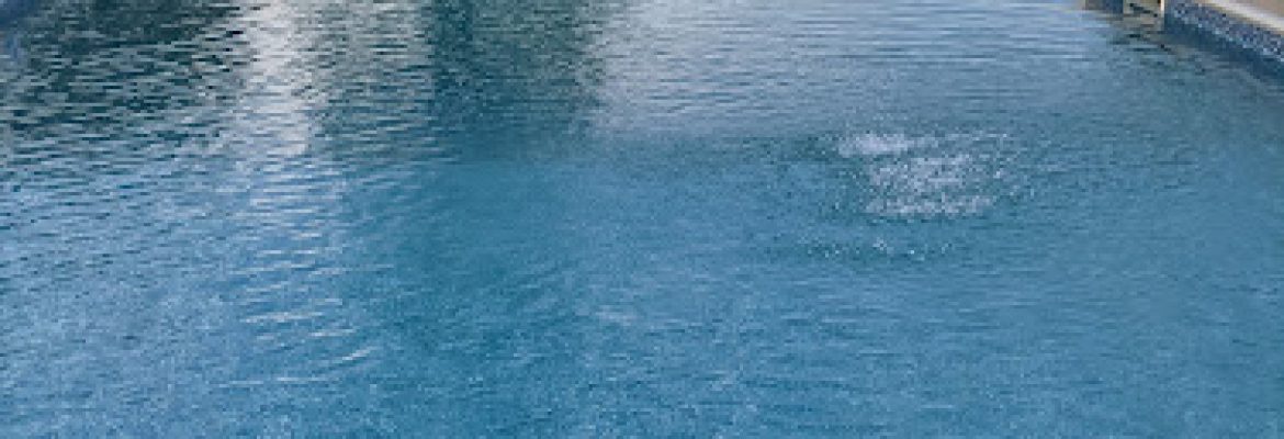The Pool Guy Store