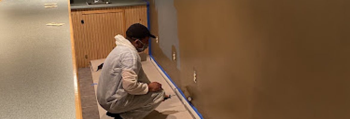 PRO PAINTING SOLUTIONS LLC