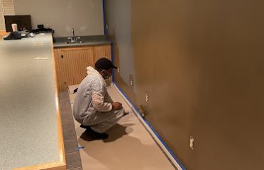 PRO PAINTING SOLUTIONS LLC