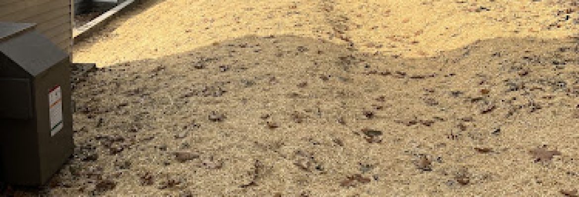Pigan Landscaping & Excavation