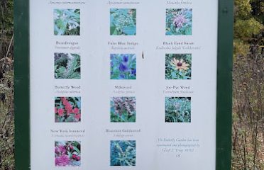 Butterfly Garden