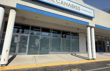 Clone Canabiss Dispensary Norwich
