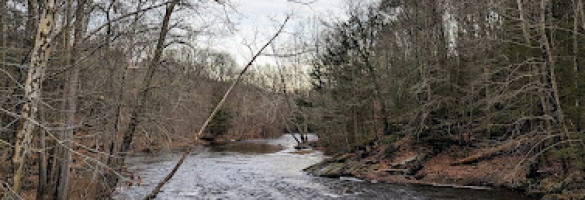 Orzech Family Preserve